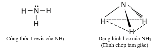 Lý thuyết Hóa học 11 Chân trời sáng tạo Bài 4: Ammonia và một số hợp chất ammonium