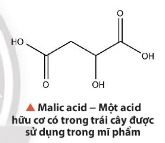 Tầm quan trọng của các hợp chất hữu cơ không chỉ bởi số lượng mà còn vì vai trò