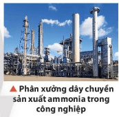 Trong các phản ứng hoá học, có một loại phản ứng trong đó các chất sản phẩm