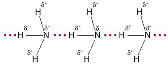 Trắc nghiệm Hóa học 11 Chân trời sáng tạo Bài 4 (có đáp án): Ammonia và một số hợp chất ammonium (ảnh 1)