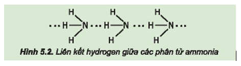 Từ đặc điểm cấu tạo của phân tử ammonia, hãy giải thích tại sao các phân tử