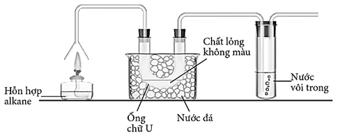 Đề kiểm tra Hóa học 11 Kết nối tri thức Chương 3 (có lời giải)