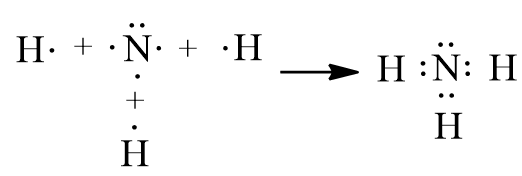 Trình bày các bước lập công thức Lewis của phân tử ammonia