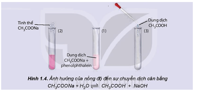 Nghiên cứu ảnh hưởng của nồng độ đến sự chuyển dịch cân bằng: CH3COONa + H2O ⇌ CH3COOH + NaOH