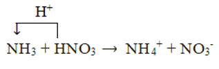 Hãy giải thích tại sao ammonia tan tốt trong nước