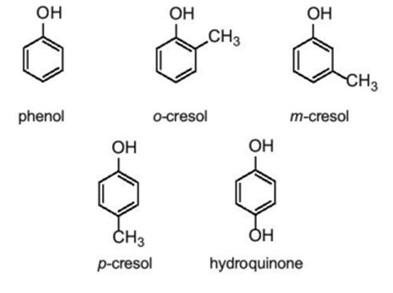 Lý thuyết Hóa học 11 Kết nối tri thức Bài 21: Phenol