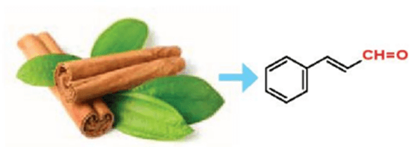 Lý thuyết Hóa học 11 Kết nối tri thức Bài 23: Hợp chất carbonyl