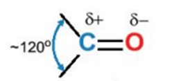 Lý thuyết Hóa học 11 Kết nối tri thức Bài 23: Hợp chất carbonyl