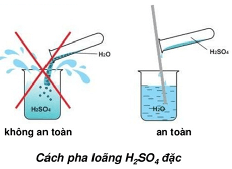 Lý thuyết Hóa học 11 Kết nối tri thức Bài 8: Sulfuric acid và muối sulfate