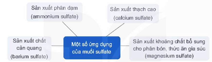 Lý thuyết Hóa học 11 Kết nối tri thức Bài 8: Sulfuric acid và muối sulfate