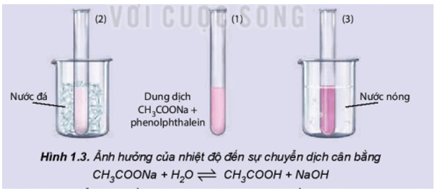 Ảnh hưởng của nhiệt độ đến sự chuyển dịch cân bằng: CH3COONa + H2O ⇌ CH3COOH + NaOH 