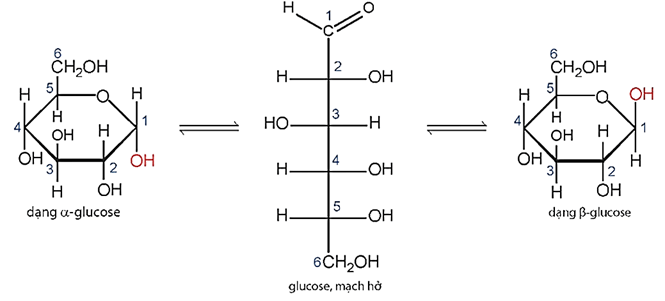 Lý thuyết Hóa học 12 Chân trời sáng tạo Bài 3: Glucose và fructose