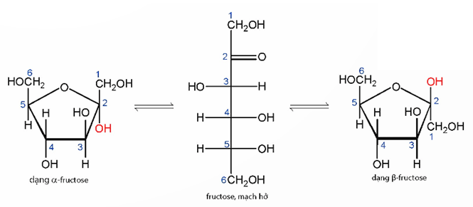 Lý thuyết Hóa học 12 Chân trời sáng tạo Bài 3: Glucose và fructose