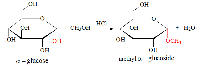 Lý thuyết Hóa học 12 Chân trời sáng tạo Bài 3: Glucose và fructose