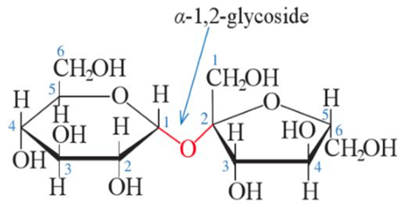 Trắc nghiệm Hóa học 12 Chân trời sáng tạo Bài 4 (có đáp án): Saccharose và maltose