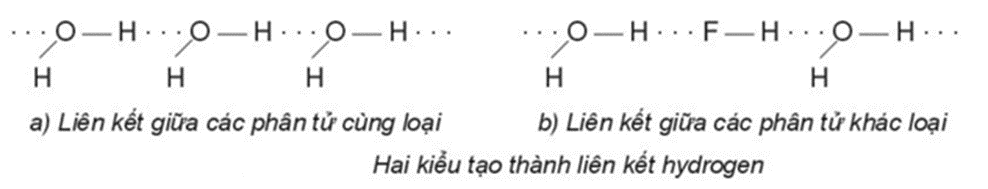 Ảnh hưởng của liên kết hydrogen và tương tác van der Waals đến nhiệt độ nóng chảy, nhiệt độ sôi các chất lớp 10 (cách giải + bài tập)