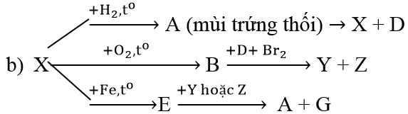 Hóa học lớp 10 | Lý thuyết và Bài tập Hóa học 10 có đáp án