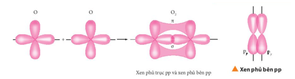 Bài tập về sự hình thành liên kết sigma, liên kết pi lớp 10 (cách giải + bài tập)