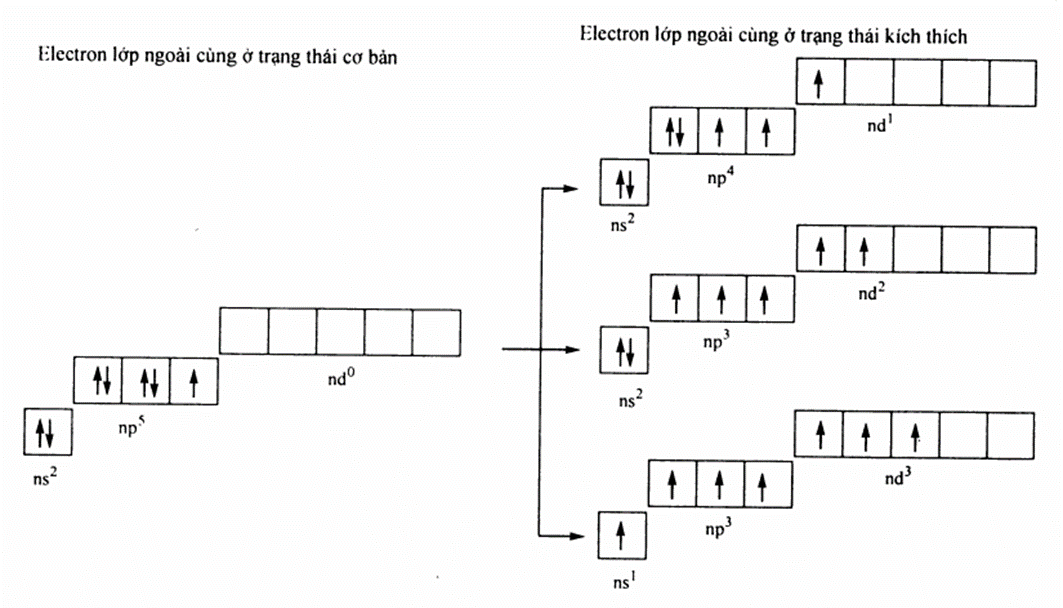 Chuyên đề bồi dưỡng HSG Hóa học 10 Nguyên tố nhóm VIIA - Halogen (có lời giải)