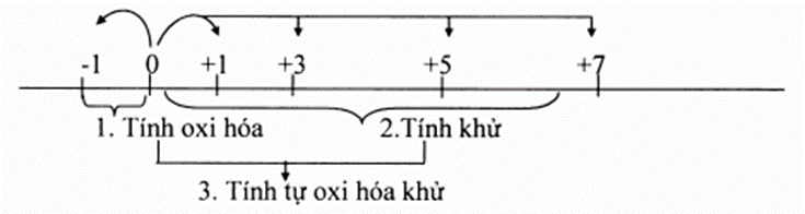 Chuyên đề bồi dưỡng HSG Hóa học 10 Nguyên tố nhóm VIIA - Halogen (có lời giải)