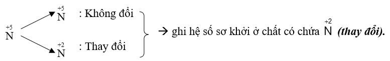Chuyên đề bồi dưỡng HSG Hóa học 10 Phản ứng Oxi hóa khử (có lời giải)
