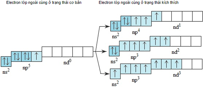 Hóa học lớp 10 | Lý thuyết và Bài tập Hóa học 10 có đáp án