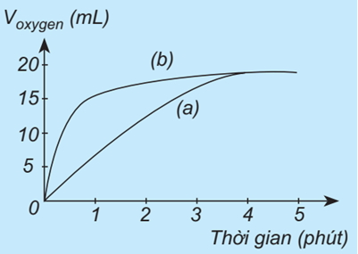 Chuyên đề Tốc độ phản ứng hóa học lớp 10