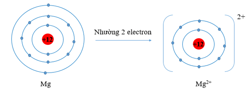 Vận dụng quy tắc octet xác định hướng của nguyên tử khi tham gia liên kết lớp 10 (cách giải + bài tập)