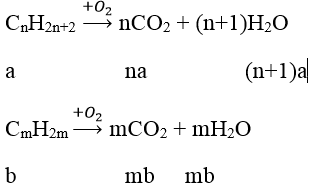 75 câu trắc nghiệm Hidrocacbon no có lời giải (nâng cao - phần 1)