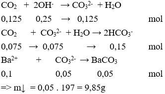 25 Bài tập về CO2 cực hay (có lời giải)