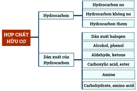 Hợp chất hữu cơ và hóa học hữu cơ lớp 11