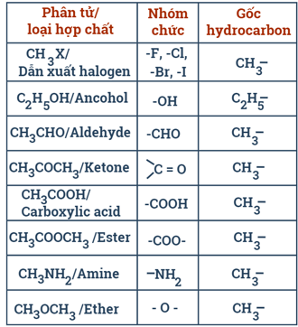 Hợp chất hữu cơ và hóa học hữu cơ lớp 11