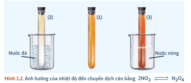 Khái niệm về cân bằng hoá học lớp 11