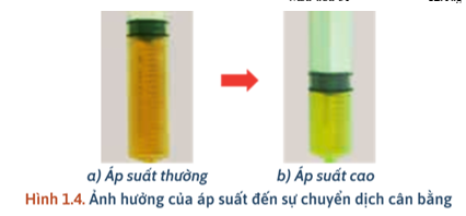 Khái niệm về cân bằng hoá học lớp 11