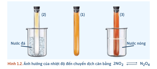 Khái niệm về cân bằng hoá học lớp 11