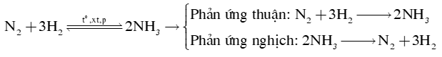 Khái niệm về cân bằng hoá học lớp 11