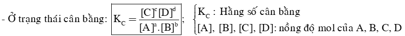 Khái niệm về cân bằng hoá học lớp 11