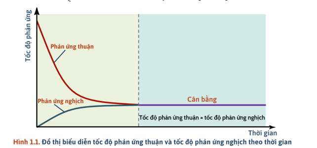 Khái niệm về cân bằng hoá học lớp 11