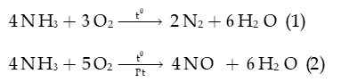 Ammonia muối ammonium lớp 11