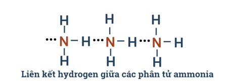 Ammonia muối ammonium lớp 11