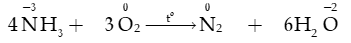 Ammonia muối ammonium lớp 11