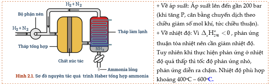 Ammonia muối ammonium lớp 11