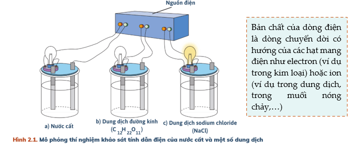 Cân bằng trong dung dịch nước lớp 11