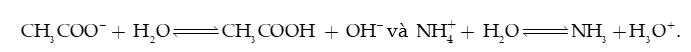 Thuyết BRONSTED – LOWRY về acid- base lớp 11