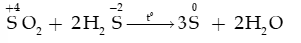 Sulfur và Sulfur dioxide lớp 11