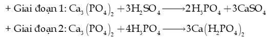 Sulfuric acid và muối Sulfate lớp 11