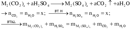 Một số dạng bài tập về Sulfuric acid loãng lớp 11