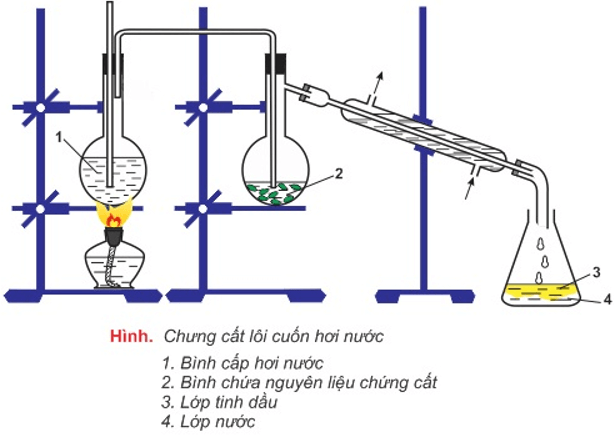 Hóa học lớp 11 | Lý thuyết và Bài tập Hóa học 11 có đáp án