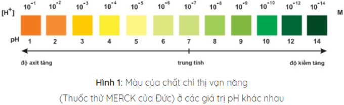 Hóa học lớp 11 | Lý thuyết và Bài tập Hóa học 11 có đáp án