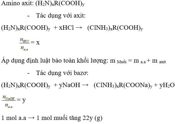 4 dạng bài tập về Amino axit trong đề thi Đại học (có lời giải) | Hóa học lớp 12